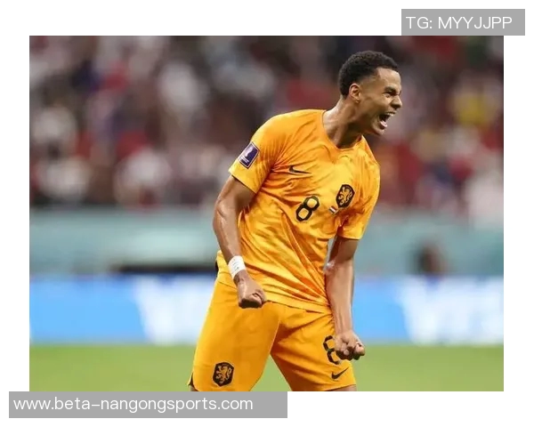 荷兰对阵罗马尼亚精彩直播全程回顾与赛后分析